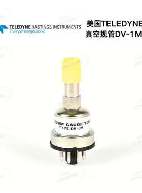 美国TELEDYNE HASTING INSTRUMENT 真空规管DV-1M