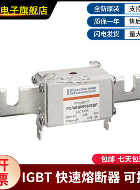 PC70GB69V80ESF-E301304 PC70GB69V100ESF-S301293罗兰快速熔断器
