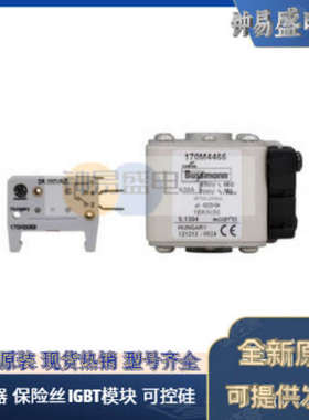 美国BUSSMANN熔断器170M5365  170M5366
