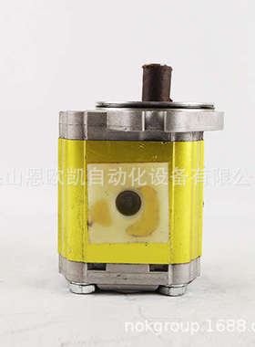 意大利VIVOIL齿轮泵X2P4952BCBA