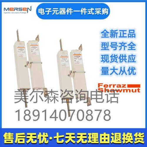 美尔森熔断器    D300GE20C125QF   R075754