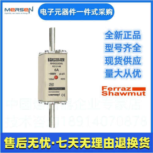 Ferraz罗兰熔断器   NH0GG50V10 G214159    美尔森