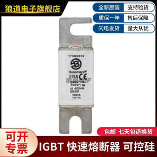 巴斯曼熔断器 170M2621 供应全新现货170M2619 170M2620