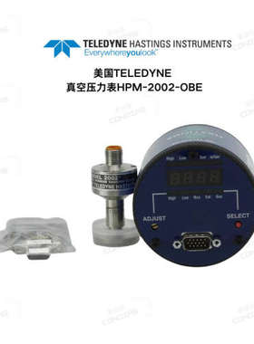 美国TELEDYNE HASTING INSTRUMENT 真空压力表HPM-2002-OBE