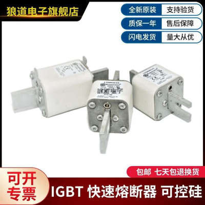 供应正品原装170M4016 170M4017 170M4018 170M4019巴斯曼熔断器