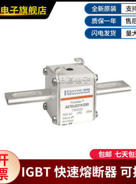 A070UD31KI250-T300029 A070UD31LI200-V300697快速熔断式熔断器
