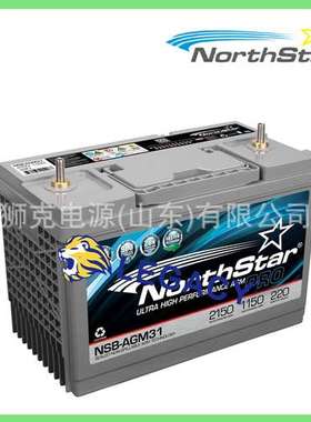 美国NORTHSTAR蓄电池NSB 12-425RT、NSB 12-450RT、NSB 12-570