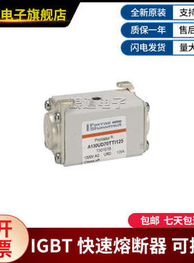 法国罗兰A130UD70TTI125-T301018 A130UD70TTI160-V301019熔断器