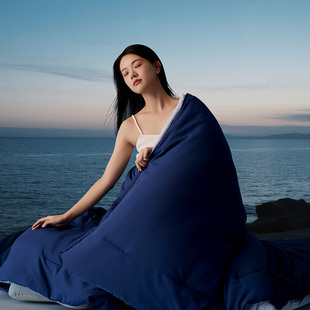 8H A类双层控温十孔四季被春秋冬双人被芯抗菌被子保暖被D017