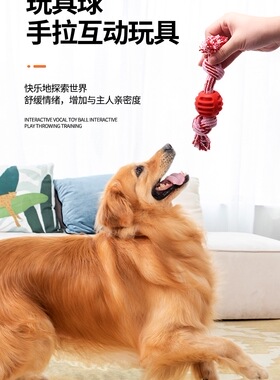 宠物啃咬玩具咬不烂穿绳球狗玩具自嗨解闷磨牙耐咬小狗用品咬不坏