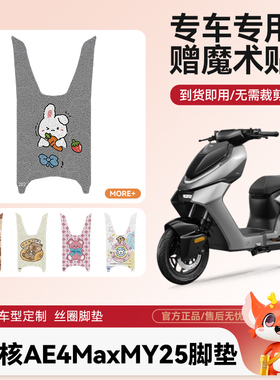 极核AE4MaxMY25电动车脚垫防水防滑耐磨装饰适用脚踩电瓶车脚踏垫