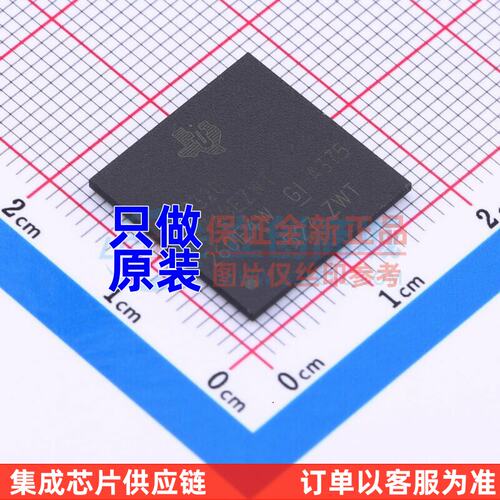 数字信号处理器(DSP/C)T