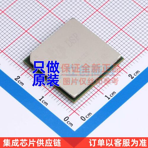 数字信号处理器(DSP/C)T