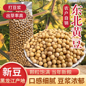 1kg真空东北农家黄豆打豆浆发豆芽磨黄豆粉面五谷杂粮黑龙江自种