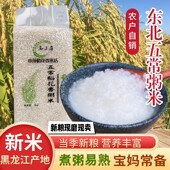 25新米东北五常粥米碎米粥易煮熟早餐粥小粒米圆粒米黑龙江杂粮粥