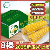 2025东北黄玉米新鲜甜糯玉米现摘真空包装 白黏玉米棒轻食代餐粗粮