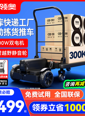 领奥电动小型手推车仓库快递代步平衡车载货搬运神器工具车平板车