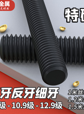 高强度丝杆8.8/10.9/12.9级通丝杠全牙全螺纹螺杆牙条M6M8M12-M64