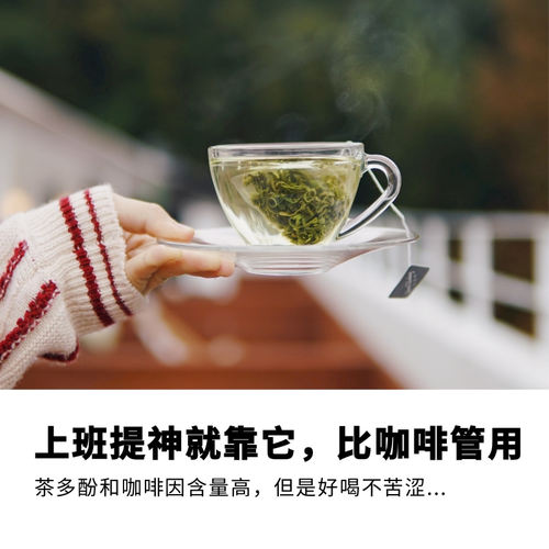 永日香 高山绿茶生态茶园春季新茶高香甘醇耐泡袋表作原叶袋泡茶 - 封面