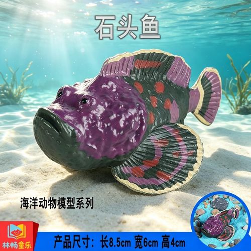 林畅童乐儿童海洋动物玩具石头鱼模型仿真鱼摆件科普教具男孩认知
