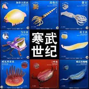 寒武纪史前海洋生物马尔虫皮卡虫三叶虫模型儿童仿真远古动物玩具