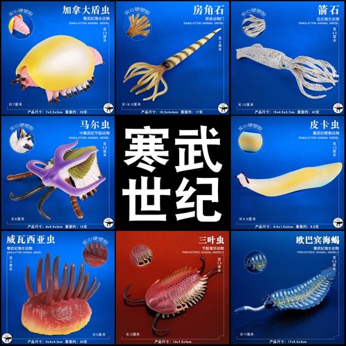 林畅模玩史前海洋生物仿真模型