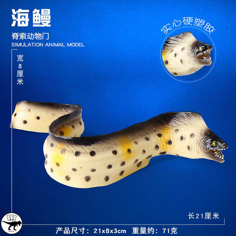 林畅儿童海洋动物玩具实心海鳗模型仿真鳗鱼海底生物男孩科教认知