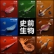 远古海洋生物模型儿童仿真动物玩具史前三叶虫奇虾鹦鹉螺男孩手办