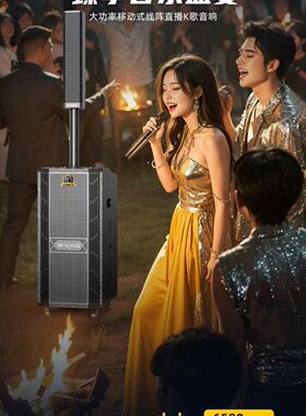 维尔晶专业音响K20plus大功率400W户外演艺音响内置声卡户外直播