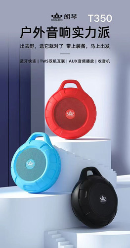 ROYQUEEN/朗琴 T350 蓝牙音响插卡跑步小型迷你无线低音炮防水