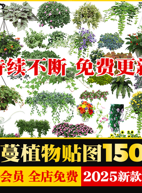 藤本藤蔓景观攀爬植物贴图PSD常春藤铁线莲五叶地锦长春蔓PS素材