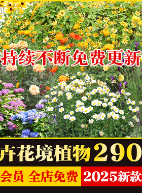 花卉绿植植物procreate花镜鲜花坛PS效果图PNG免抠高清设计素材