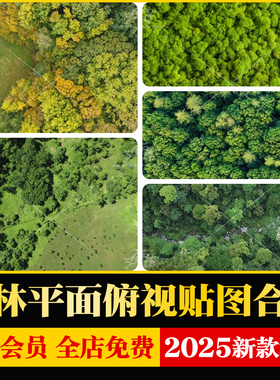 树丛树群植物鸟瞰俯瞰俯视图树林自然森林彩平底图平面ps贴图素材