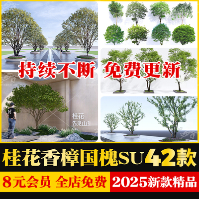 桂花香樟国槐园林小乔木朴树乌桕槭树栾树榆树草图大师SU模型