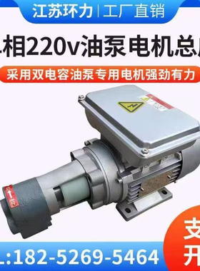CB-B6/B10/B4/B2.5齿轮泵液压油泵电机组370W/550W750W  单相220V