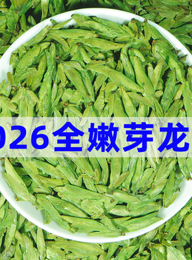 头采嫩芽2026龙井新茶明前龙井绿茶茶叶特级春龙井茶一芽一叶
