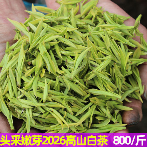 2026头采珍稀白茶新茶明前源自安吉高山绿茶嫩芽茶叶特级春茶100g - 封面