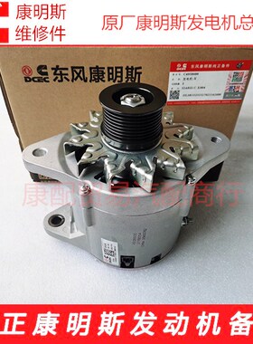 东风康明斯6BT5.9-P100/6BTA5.9P150发电机组28V45A发电机4938600