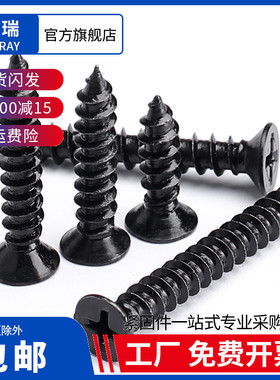 添瑞黑色不锈钢十字平头自攻螺丝沉头电子螺丝木工螺钉1M2M3M4-M6