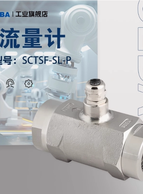 SEBA赛巴流量计SDVF-PC-040-U1/2-V SCTDF-PC-025-U1/2-ETCH-V-C4