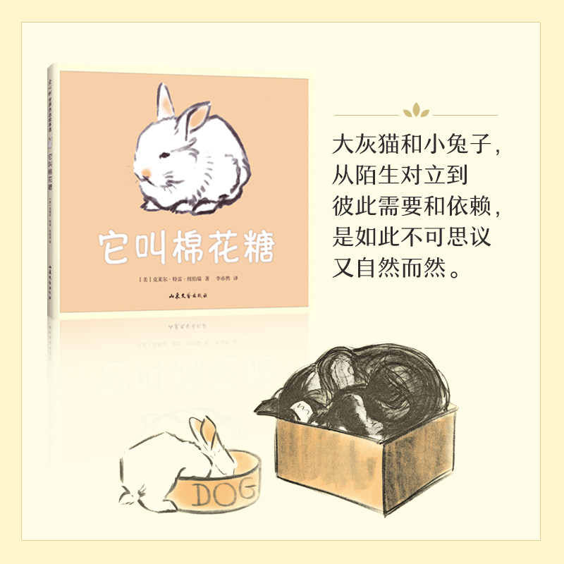 它叫棉花糖 克莱尔·特雷·纽伯瑞 猫 兔子 爱 亲密 幸福 温暖 友谊