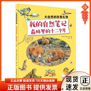 十二个月欣赏一年中异彩纷呈 植物世界；四季 交替 大自然 觅食 自然笔记森林里 动物们如何安家 孕育生命 珍贵礼物—我