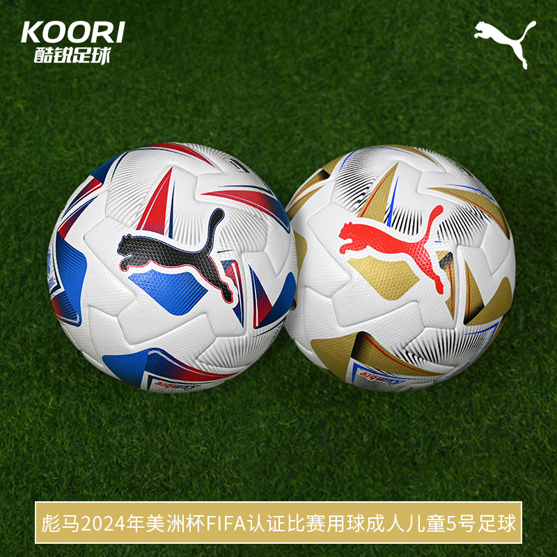 美洲杯FIFA认证5号足球彪马