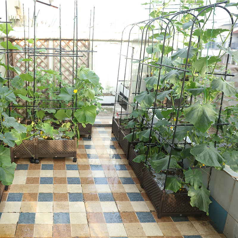种植箱爬藤架园之助钢管包塑