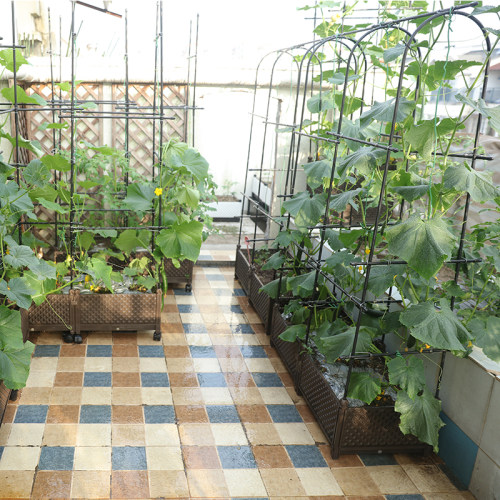 种植箱爬藤架园之助钢管包塑