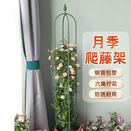 园之助月季铁线莲花架爬藤架