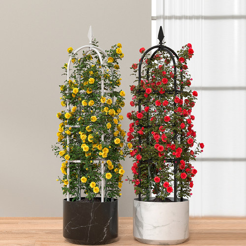 月季花架铁线莲爬藤架