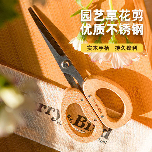 盆栽果枝剪园艺修枝剪刀