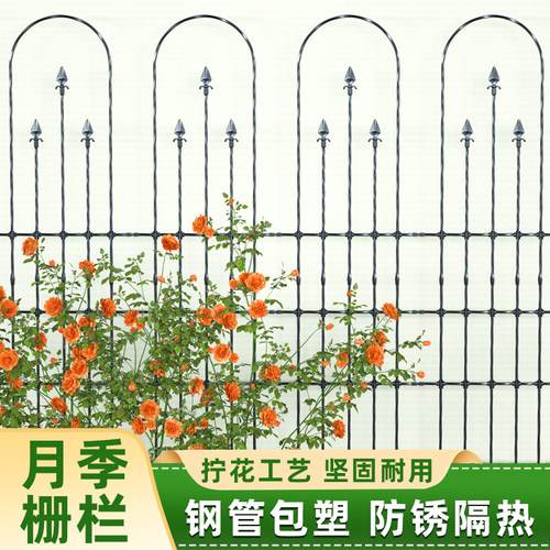 园之助户外栅栏月季爬藤架