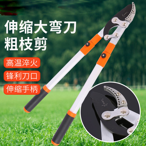 园之助大力修枝剪果树修枝